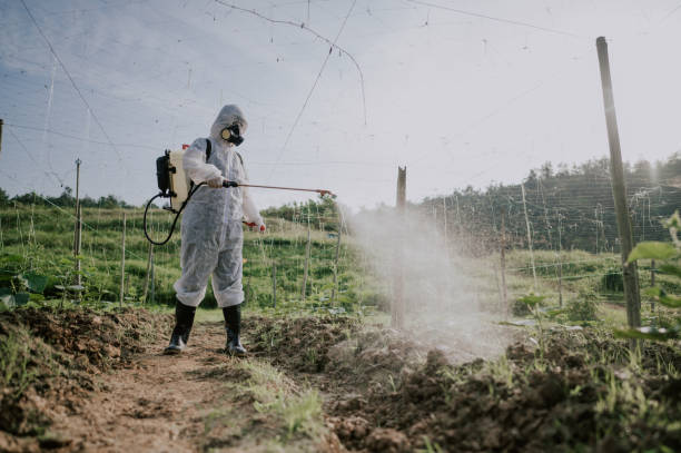 Best Affordable Pest Control Services  in Edgerton, WI