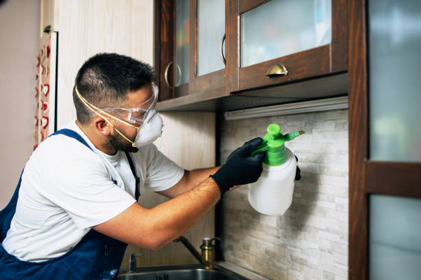 Best Pest Inspection Near Me  in Edgerton, WI
