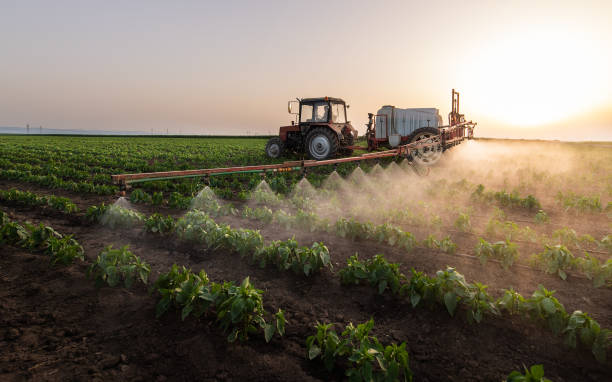 Best Pest Control Cost  in Edgerton, WI