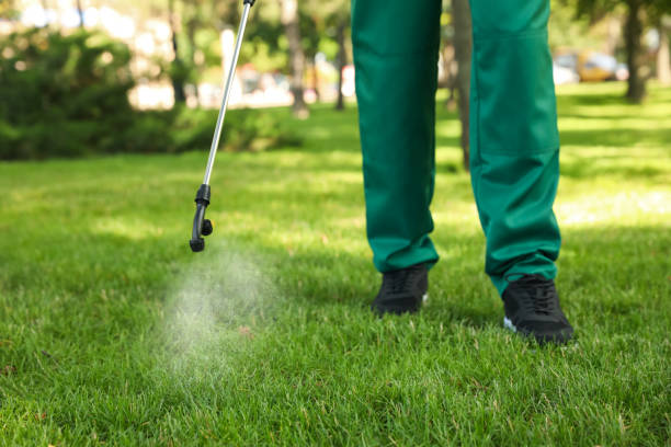 Best Bed Bug Extermination  in Edgerton, WI