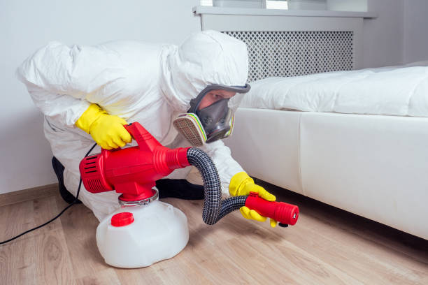 Reliable Edgerton, WI Pest Control Solutions