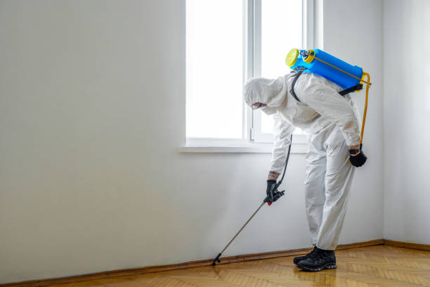 Best Pest Control Near Me in Edgerton, WI