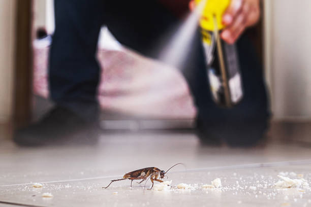 Best Best Pest Control Companies  in Edgerton, WI