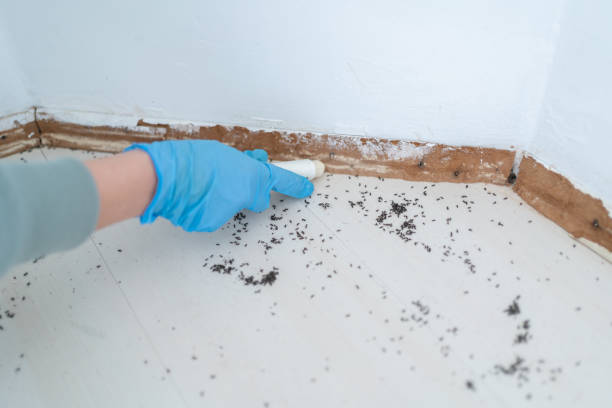 Best Residential Pest Control  in Edgerton, WI