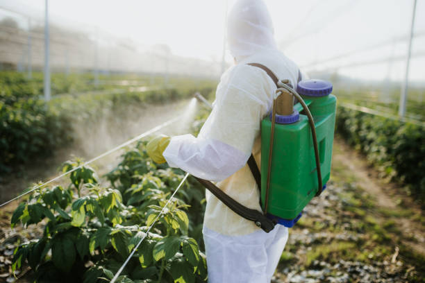 Best Pest Control Near Me in Edgerton, WI